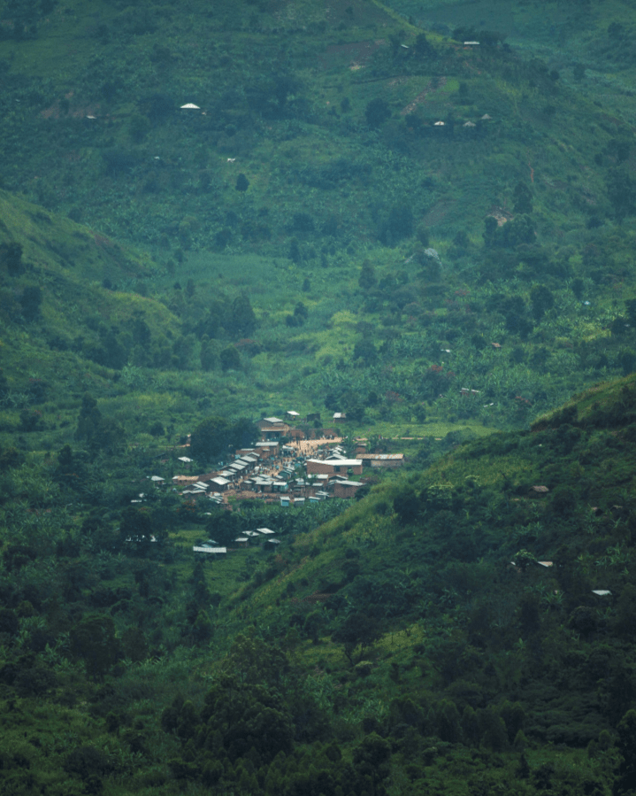 Rolling green mountains depicting the Rwenzori region where Durham Coffees New Ugandan Bean is sourced fro.