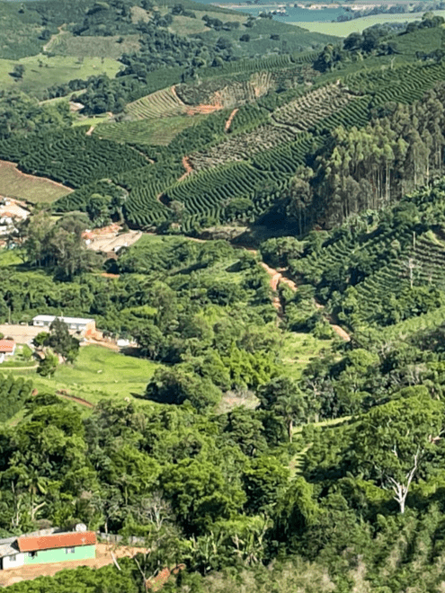 A photo showing the lush green landscape of rolling hills on a coffee farm in Brazil, where one of the coffees for Durham Coffees Christmas Coffee Collection comes from. 